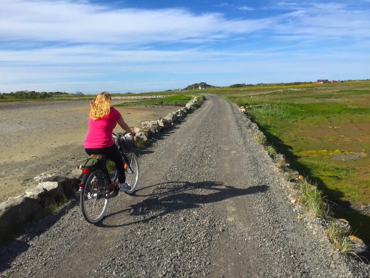 Elstad Farm Lofoten Holiday home *
